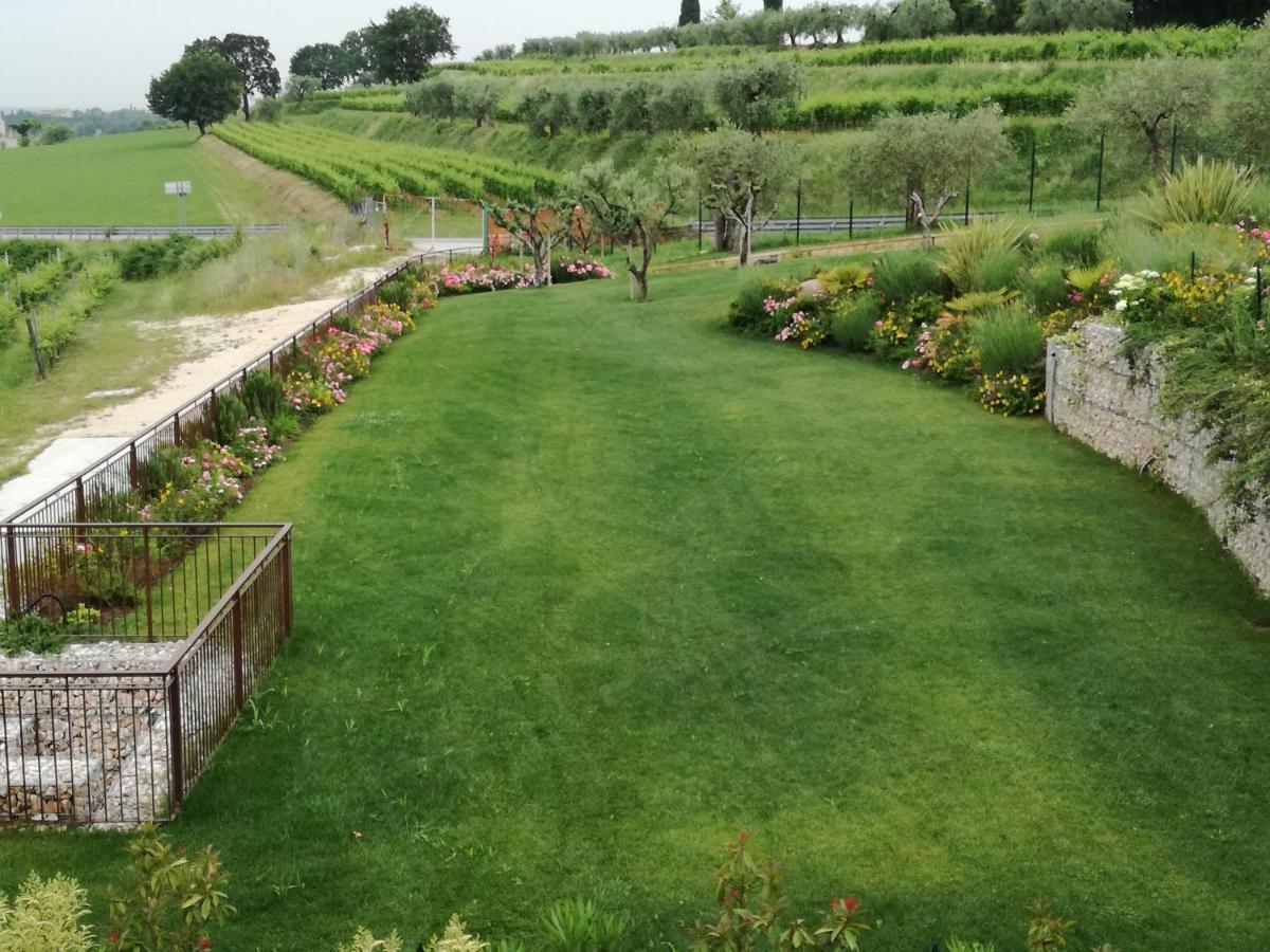Agriturismo La Rondinella 拉齐塞 外观 照片