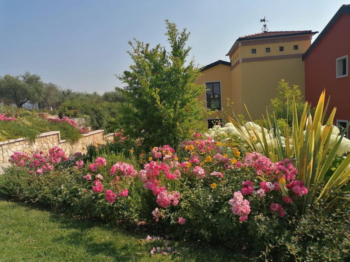 Agriturismo La Rondinella 拉齐塞 外观 照片